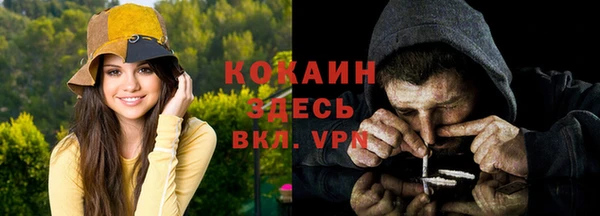 ешки Аркадак