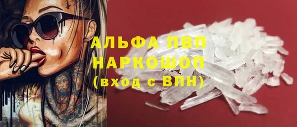 ешки Аркадак