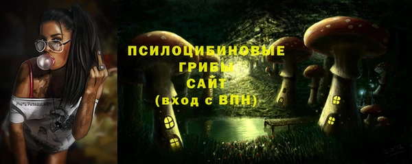 ешки Аркадак