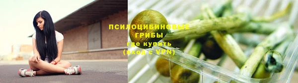 прущие крисы Арсеньев